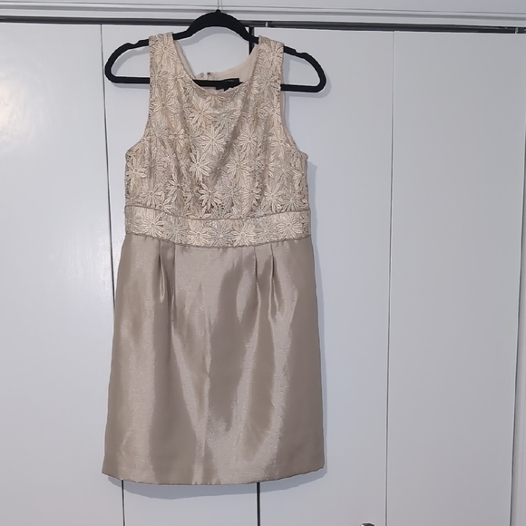 Tahari Dresses & Skirts - Elegant Cream Women's Dress
